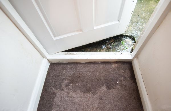 Wet Carpet Restoration in Aurora