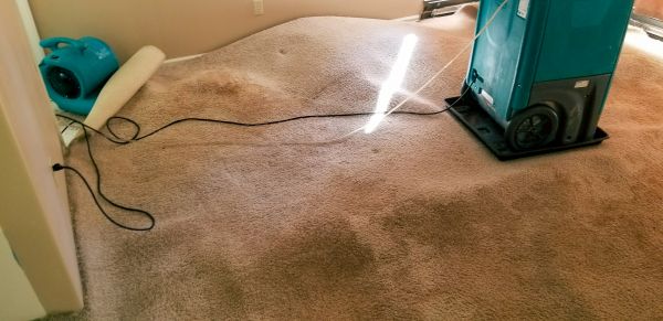 Flood Damage Cleanup in Aurora