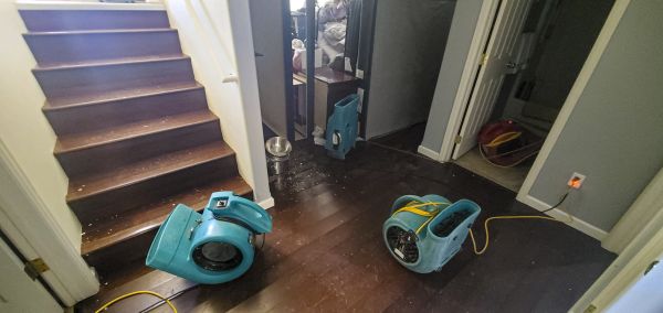 Water Damage Remediation in Aurora