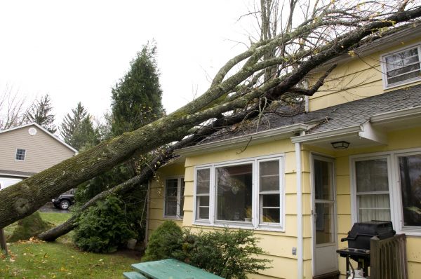 Hurricane Damage Repair in Aurora